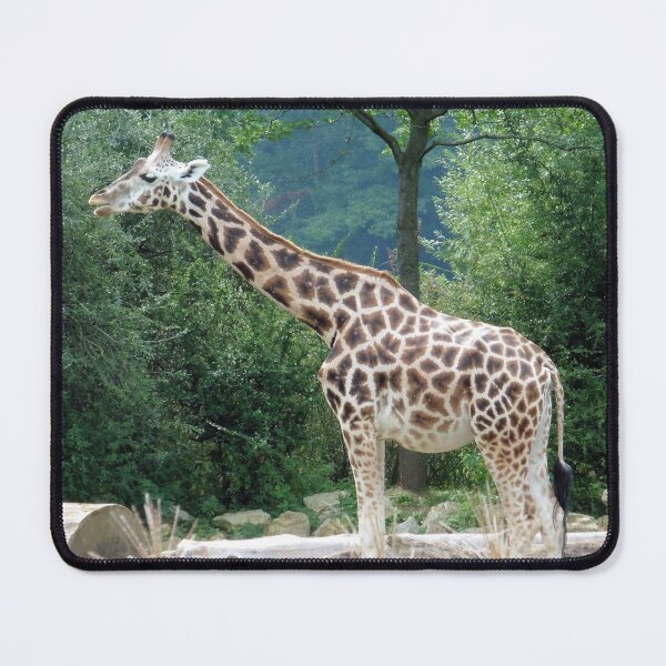 Item preview, Giraffe designed and sold by animal-animal.