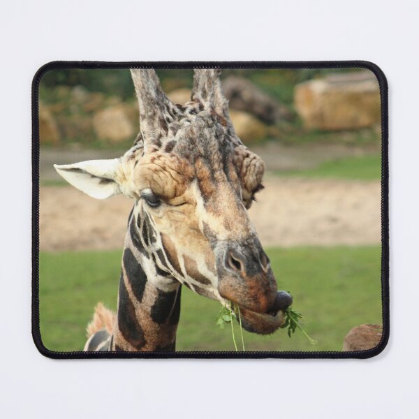 Item preview, Giraffe designed and sold by animal-animal.