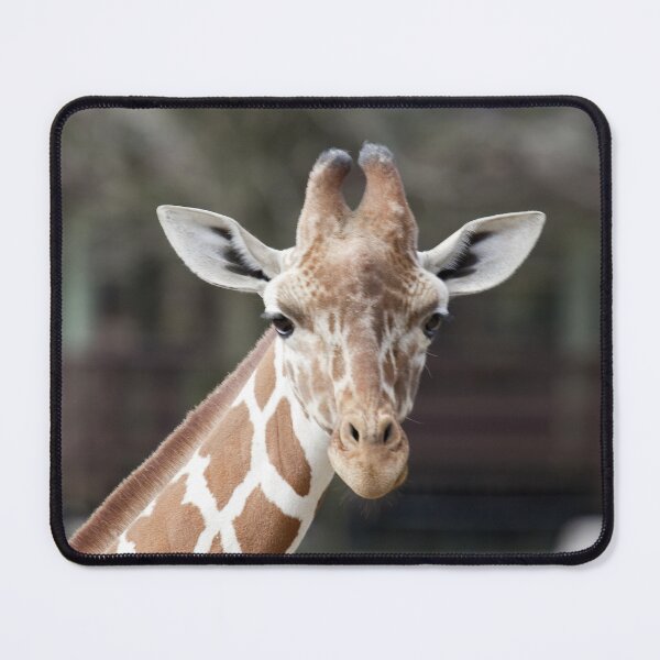 Item preview, Giraffe designed and sold by animal-animal.