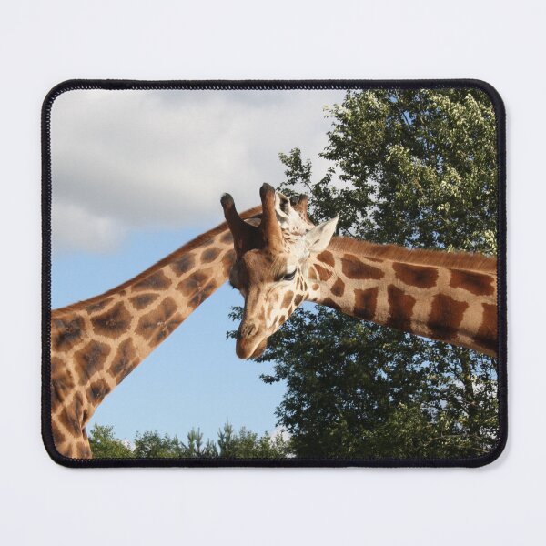Item preview, Giraffes designed and sold by animal-animal.