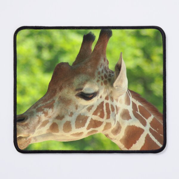 Item preview, Giraffe designed and sold by animal-animal.