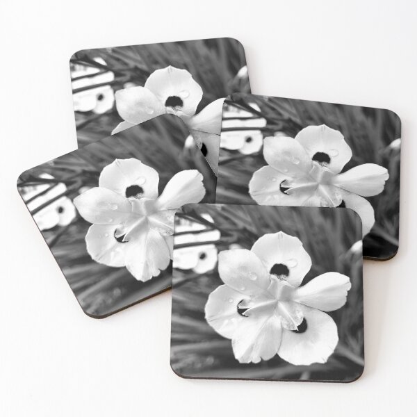 Item preview, Black & White Flower designed and sold by Diana Bazouni.