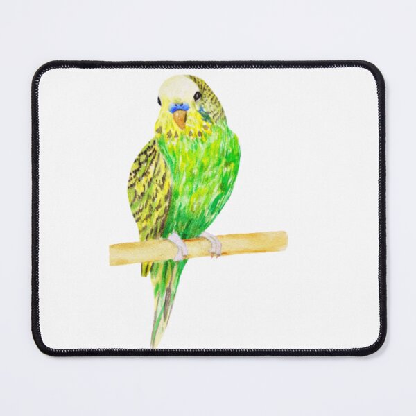 Item preview, cute, perruche, budgie designed and sold by Katze49.