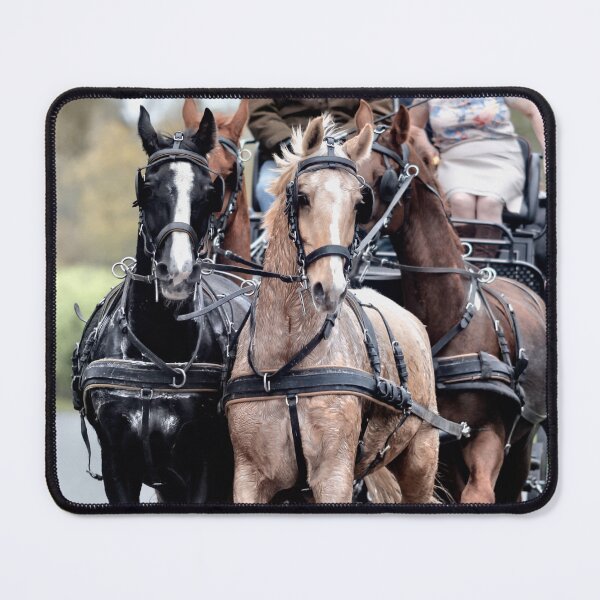 Item preview, Ride like the wind designed and sold by John Lines.