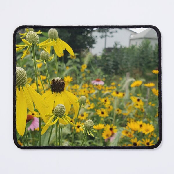 Item preview, More of my mini prairie! designed and sold by GardenOfPeace.