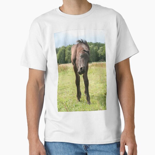 Item preview, Friesian colt shaking his head designed and sold by Calidris Fotografie Steffi & Ben Köppler.
