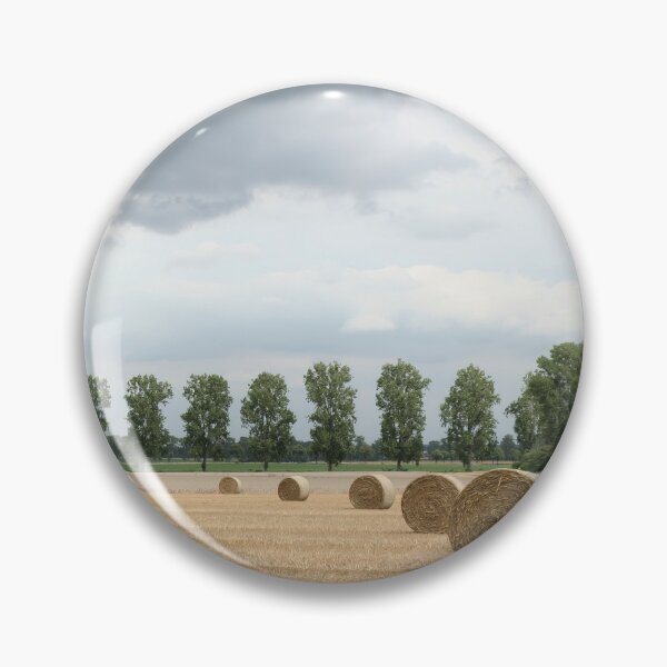 Item preview, Straw bales in front of a line of poplars designed and sold by Calidris Fotografie Steffi & Ben Köppler.