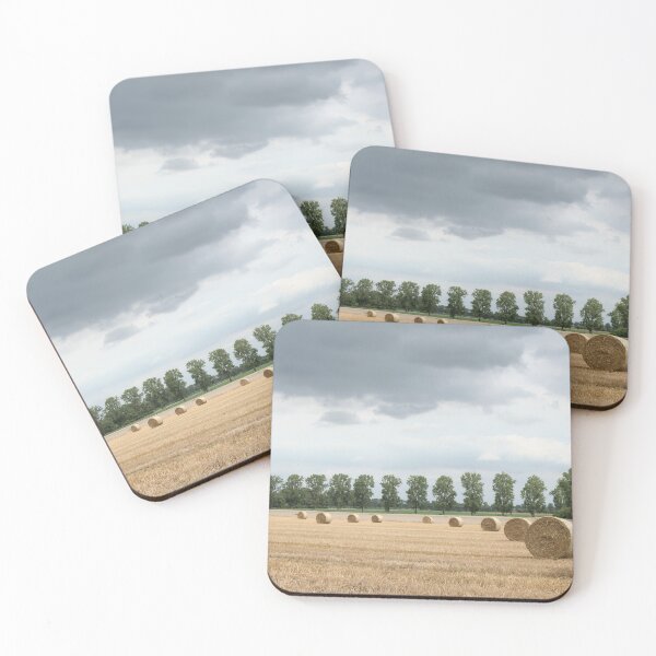 Item preview, Straw bales in front of a line of poplars designed and sold by Calidris Fotografie Steffi & Ben Köppler.