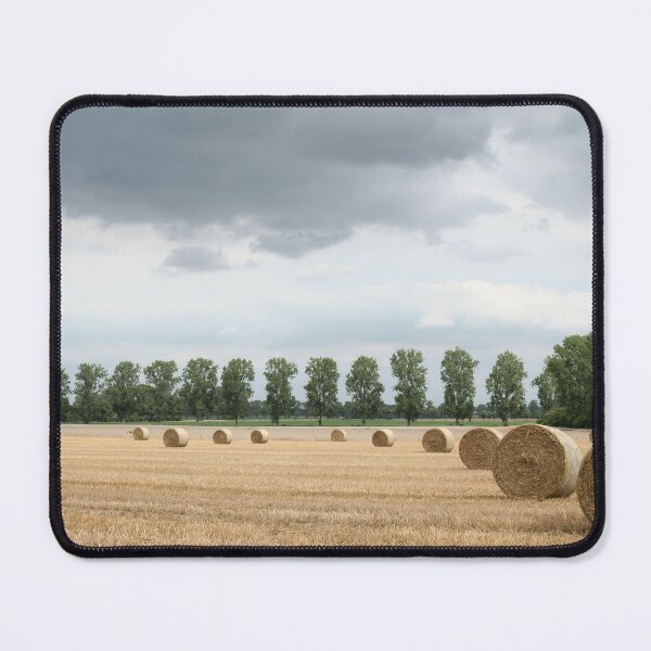 Item preview, Straw bales in front of a line of poplars designed and sold by Calidris Fotografie Steffi & Ben Köppler.
