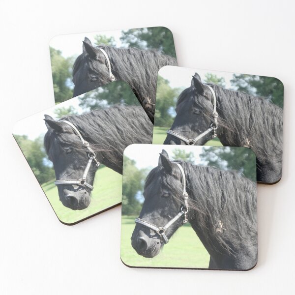 Item preview, Friesian Mare designed and sold by Calidris Fotografie Steffi & Ben Köppler.