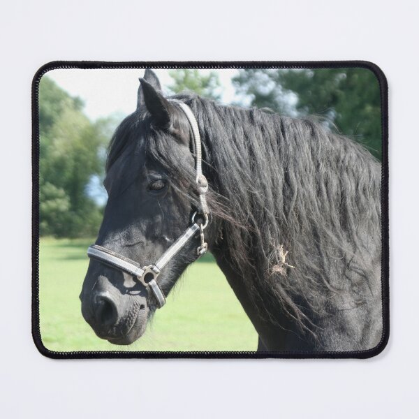 Item preview, Friesian Mare designed and sold by Calidris Fotografie Steffi & Ben Köppler.