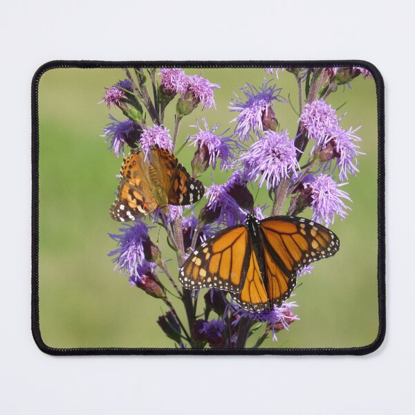 Item preview, Butterfly Buffet  designed and sold by GardenOfPeace.