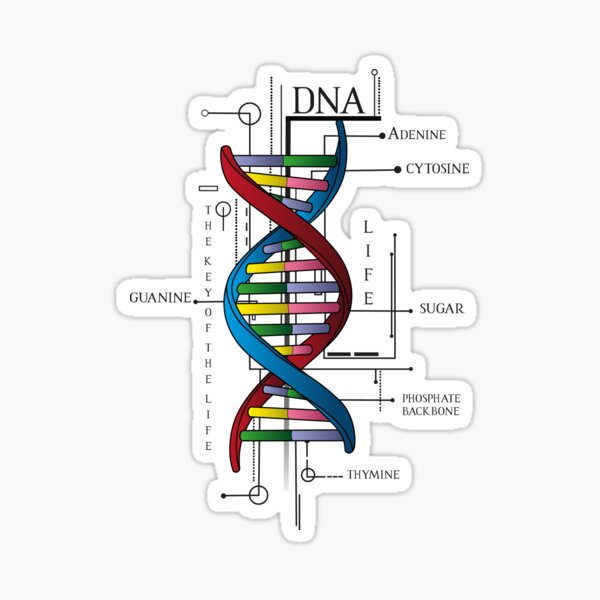 Item preview, Dna designed and sold by DerickBatista30.