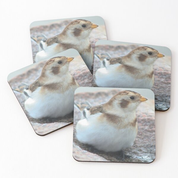 Item preview, Snow bunting designed and sold by Calidris Fotografie Steffi & Ben Köppler.