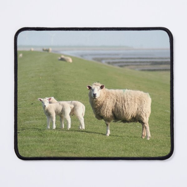 Item preview, Sheep designed and sold by Calidris Fotografie Steffi & Ben Köppler.
