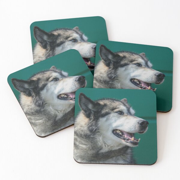 Item preview, Alaskan Malamute designed and sold by Calidris Fotografie Steffi & Ben Köppler.