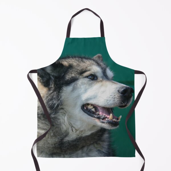 Item preview, Alaskan Malamute designed and sold by Calidris Fotografie Steffi & Ben Köppler.