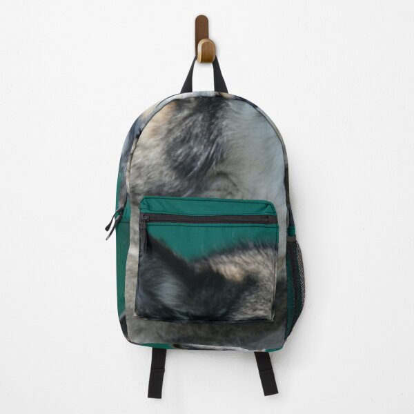 Item preview, Alaskan Malamute designed and sold by Calidris Fotografie Steffi & Ben Köppler.