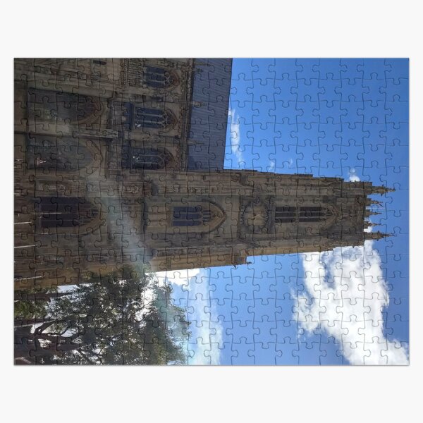 #306 |☼| Beverley Minster - Portrait Shot (Beverley) Jigsaw Puzzle