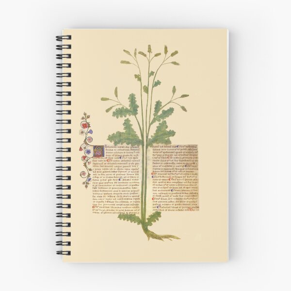 Item preview, Absinthe Plant Medieval Medicine Illuminated Manuscript designed and sold by Vintage-TM.