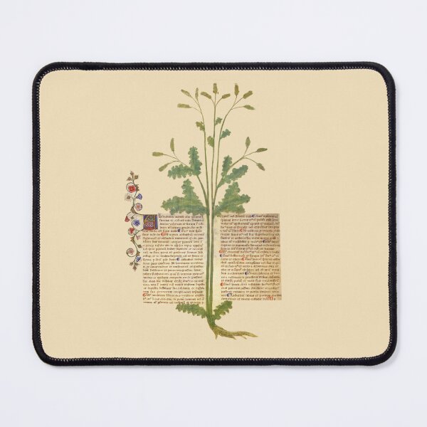 Item preview, Absinthe Plant Medieval Medicine Illuminated Manuscript designed and sold by Vintage-TM.