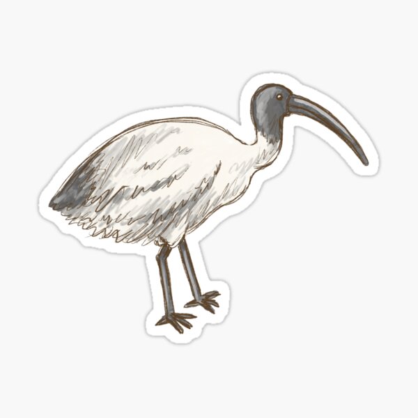 Item preview, Aussie Animals: Ibis / Bin Chicken designed and sold by Those Pencil Shavings.