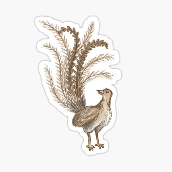 Item preview, Aussie Animals: Lyre Bird designed and sold by Those Pencil Shavings.