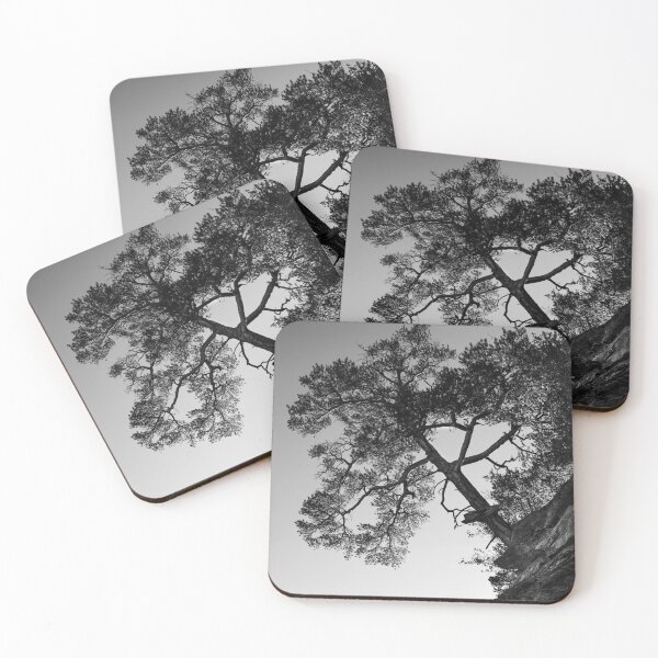 Item preview, Lone Pine Tree, Monochrome designed and sold by Imladris01.