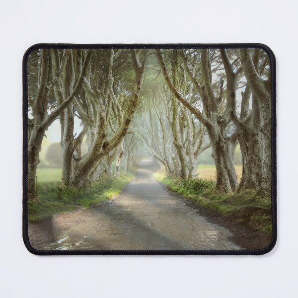 Item preview, Dark Hedges designed and sold by Alisonchambers2.