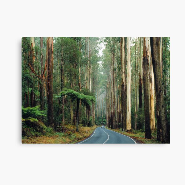 Item preview, Black Spur, Yarra Ranges, Victoria. designed and sold by Ern Mainka.