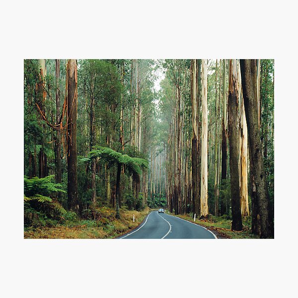 Item preview, Black Spur, Yarra Ranges, Victoria. designed and sold by Ern Mainka.