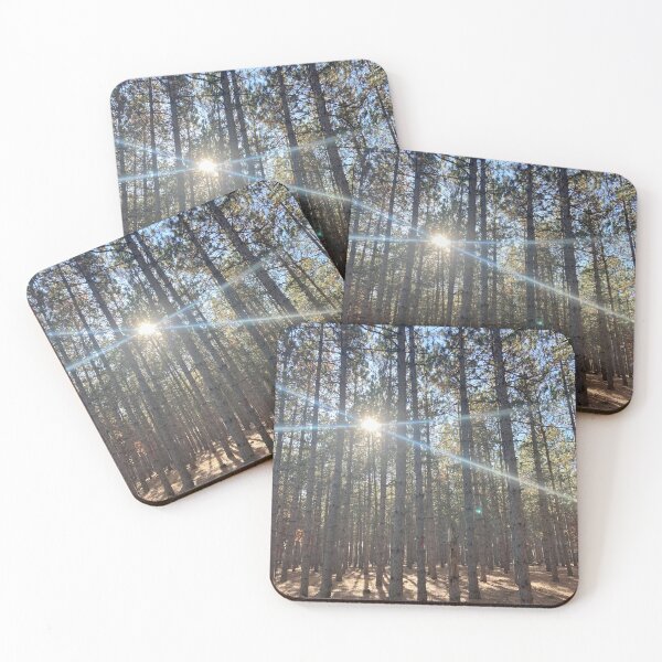 Item preview, Pine Tree Sunshine designed and sold by Bridget Swanson.