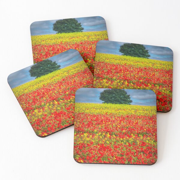 Item preview, Primary Colours of Summer designed and sold by Viv Thompson Photography .