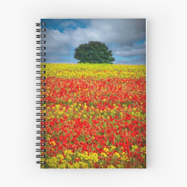 Item preview, Primary Colours of Summer designed and sold by Viv Thompson Photography .