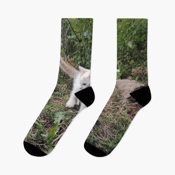 Item preview, White tomcat in the garden designed and sold by Gourmetkater.