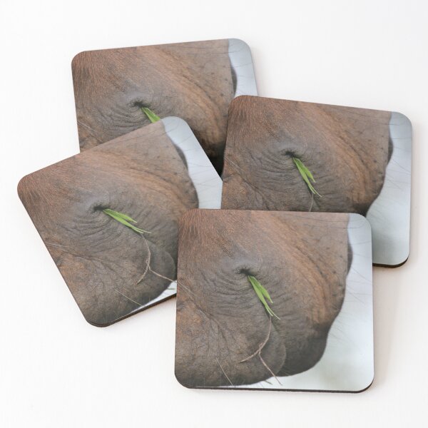 Item preview, Mare Mouth Photo designed and sold by AK-Hevonen.