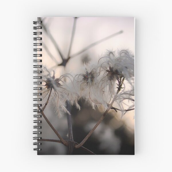 Item preview, Old mans beard  designed and sold by sdkbphotography.