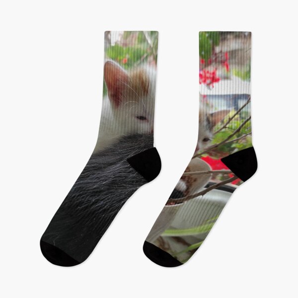 Artikelvorschau, 3 Katzenkinder in einem Blumentopf entworfen und verkauft von Gourmetkater.