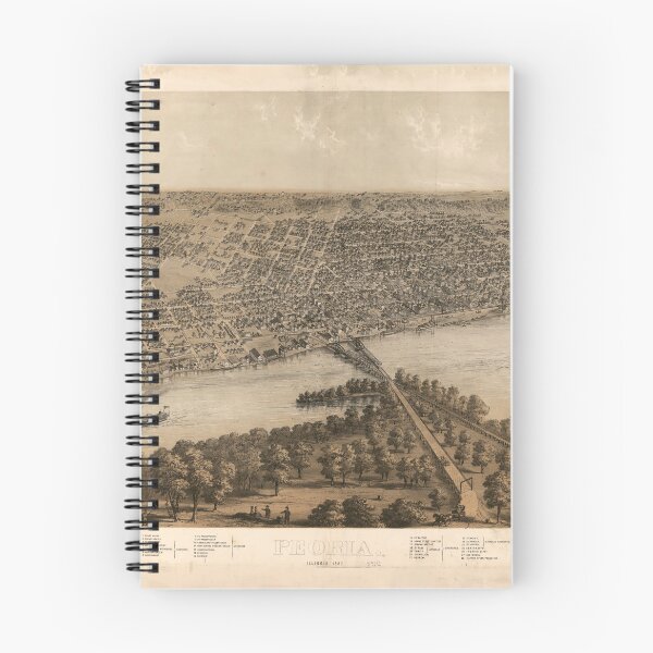 Item preview, Aerial View of Pontiac, Illinois (1869) designed and sold by allhistory.