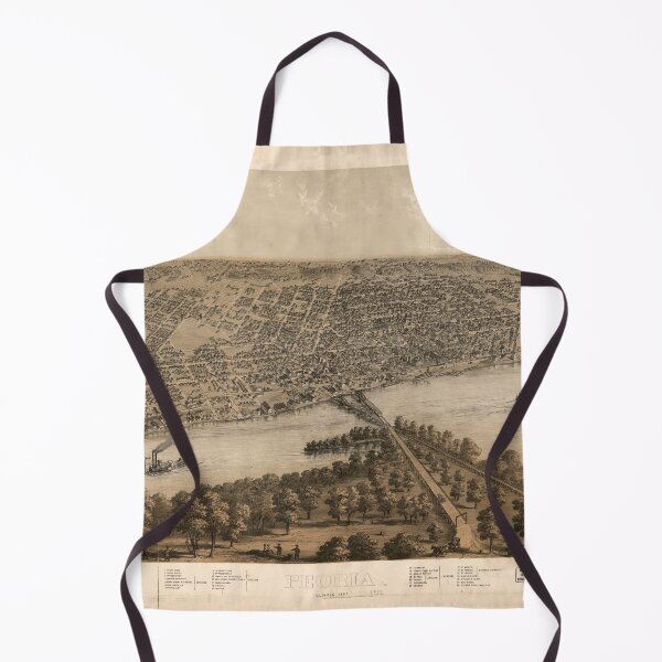 Item preview, Aerial View of Pontiac, Illinois (1869) designed and sold by allhistory.