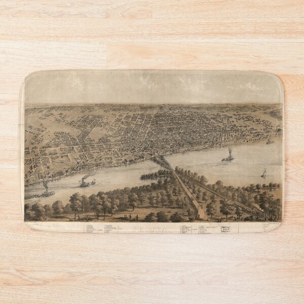 Item preview, Aerial View of Pontiac, Illinois (1869) designed and sold by allhistory.
