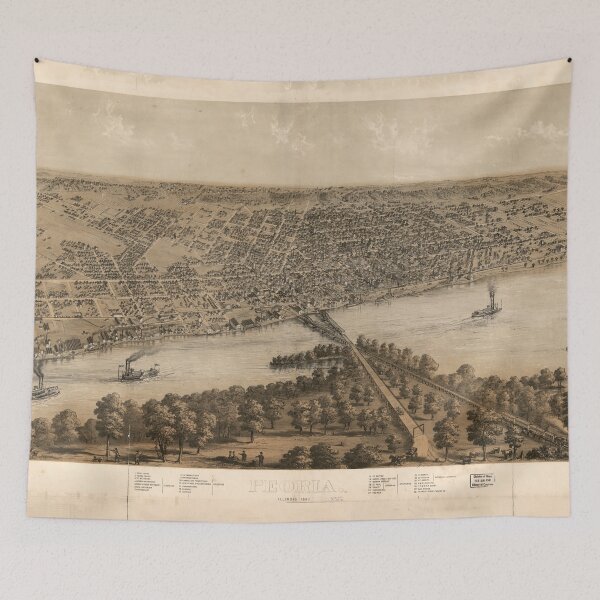 Item preview, Aerial View of Pontiac, Illinois (1869) designed and sold by allhistory.