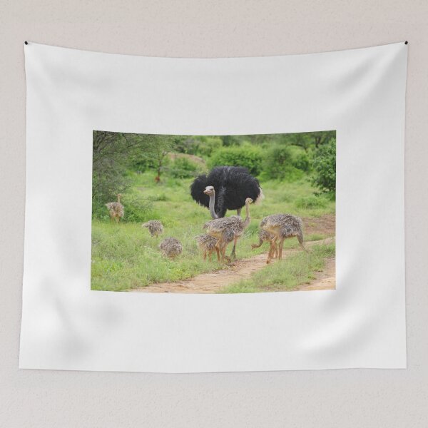 Item preview, Singing motherly Ostrich designed and sold by annenambiro.
