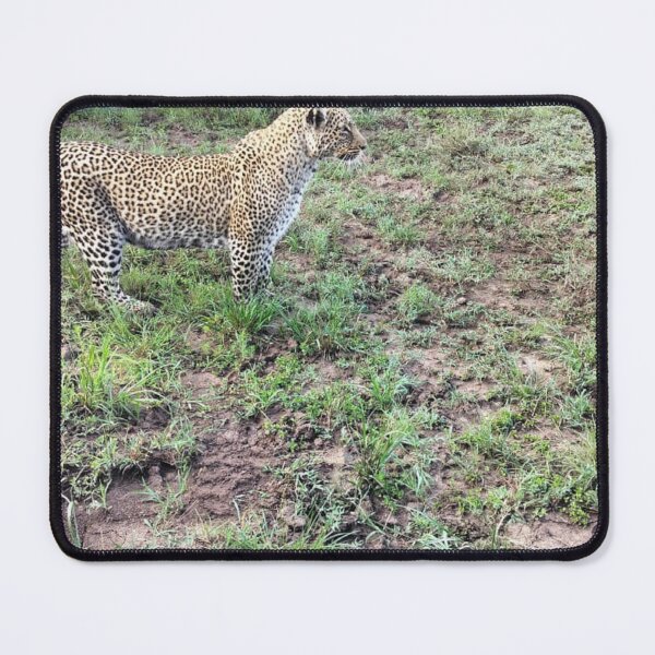 Item preview, Enchanting Leopard designed and sold by annenambiro.