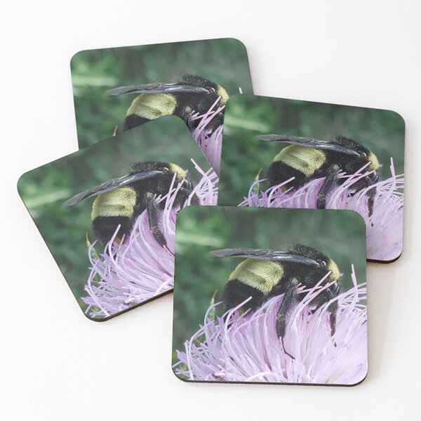 Item preview, American Bumblebee  designed and sold by GardenOfPeace.