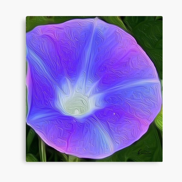 Aperçu de l'œuvre Moonflower violette du Costa Rica créée et vendue par BobbyDArt.