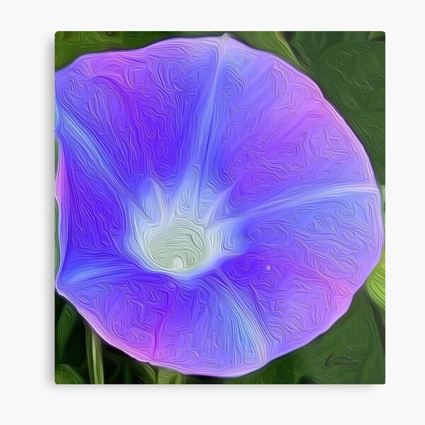 Aperçu de l'œuvre Moonflower violette du Costa Rica créée et vendue par BobbyDArt.