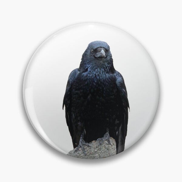Item preview, majestic crow designed and sold by kavohh707.