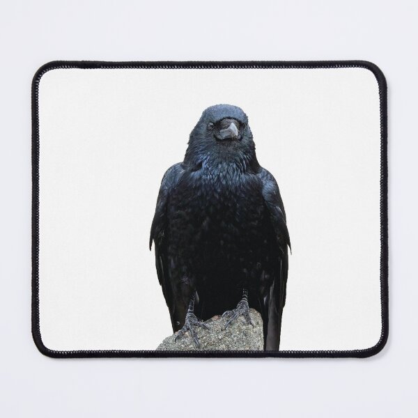 Item preview, majestic crow designed and sold by kavohh707.