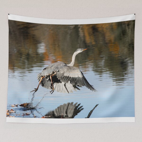 Item preview, Great Blue Heron Taking off and flying away designed and sold by myhuskymax.